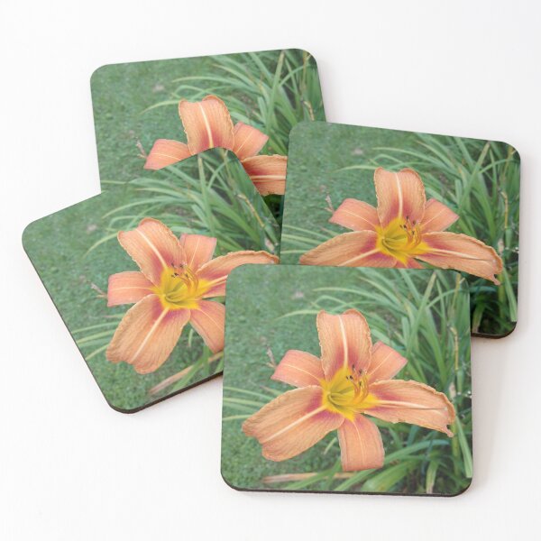Item preview, Orange Day Lily designed and sold by dfhandy.