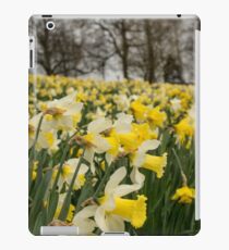 Daffodils iPad Case/Skin