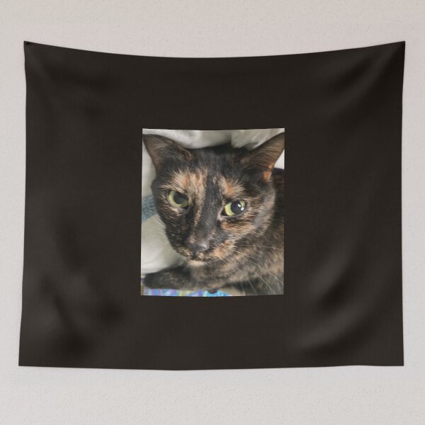 Item preview, Soulful Tortie  designed and sold by Amanda1775.