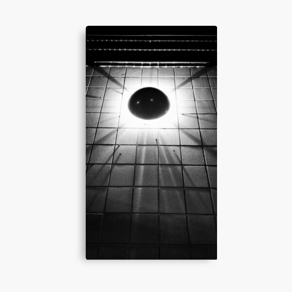Crickets Canvas Print