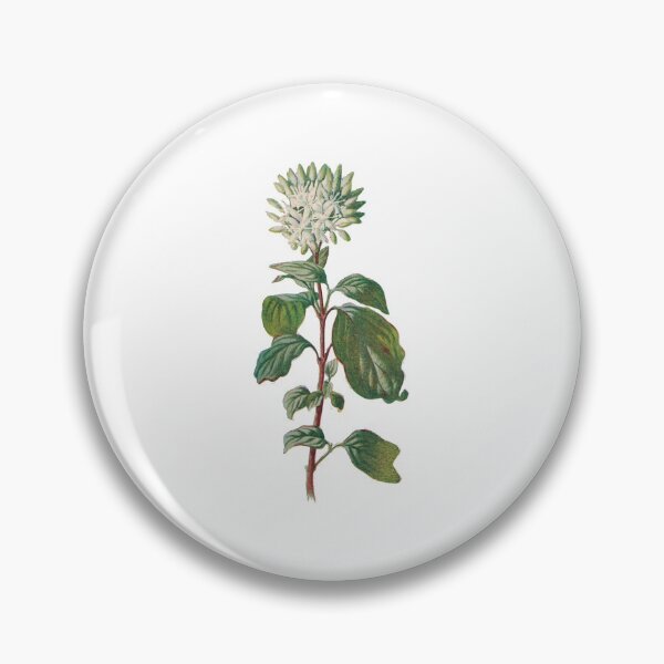 Item preview, Dogwood Print, Original Flower Print, Botanical Antique, Antique print, Foxglove Wall art, Foxglove Flower, Botanical Prints designed and sold by Studio66Designs.