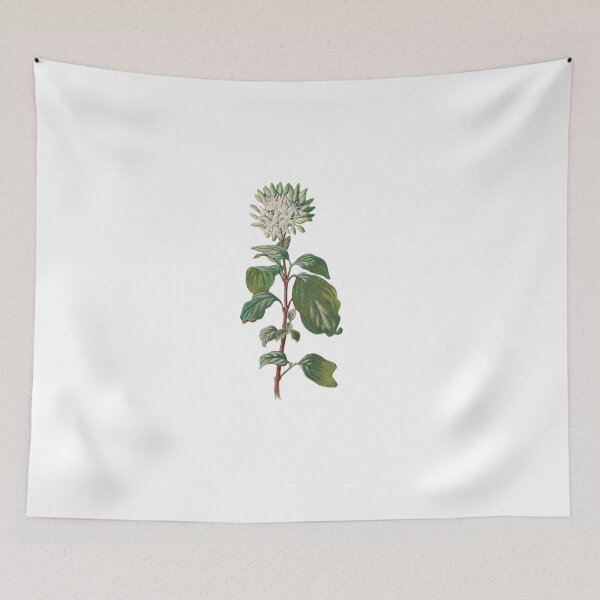 Item preview, Dogwood Print, Original Flower Print, Botanical Antique, Antique print, Foxglove Wall art, Foxglove Flower, Botanical Prints designed and sold by Studio66Designs.
