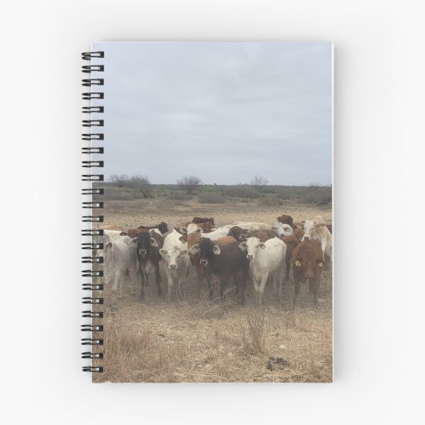 Item preview, Cows in the desert designed and sold by Nadialoz.