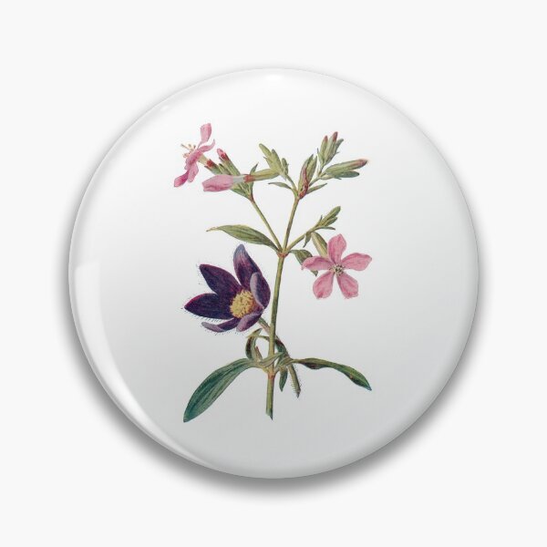 Item preview, Soapwort and Pasque flower Print, Original Flower Print, Botanical Antique, Antique print, Foxglove Wall art, Foxglove Flower, Botanical Prints designed and sold by Studio66Designs.