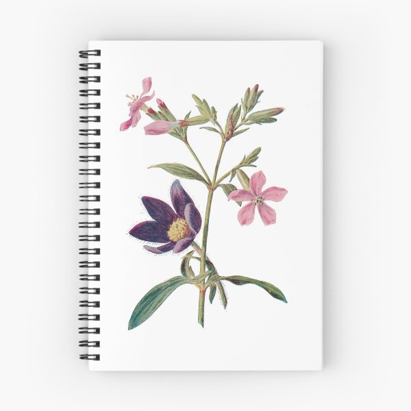 Item preview, Soapwort and Pasque flower Print, Original Flower Print, Botanical Antique, Antique print, Foxglove Wall art, Foxglove Flower, Botanical Prints designed and sold by Studio66Designs.