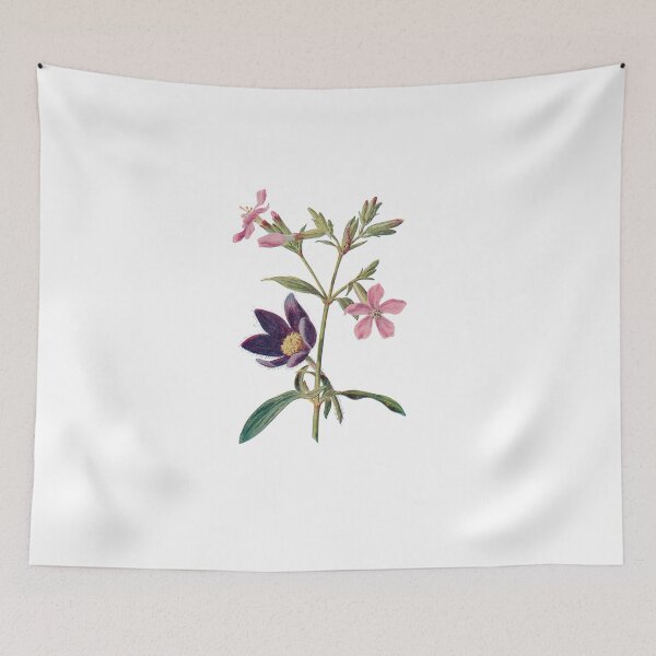Item preview, Soapwort and Pasque flower Print, Original Flower Print, Botanical Antique, Antique print, Foxglove Wall art, Foxglove Flower, Botanical Prints designed and sold by Studio66Designs.
