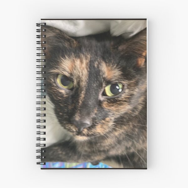 Item preview, Soulful Tortie  designed and sold by Amanda1775.