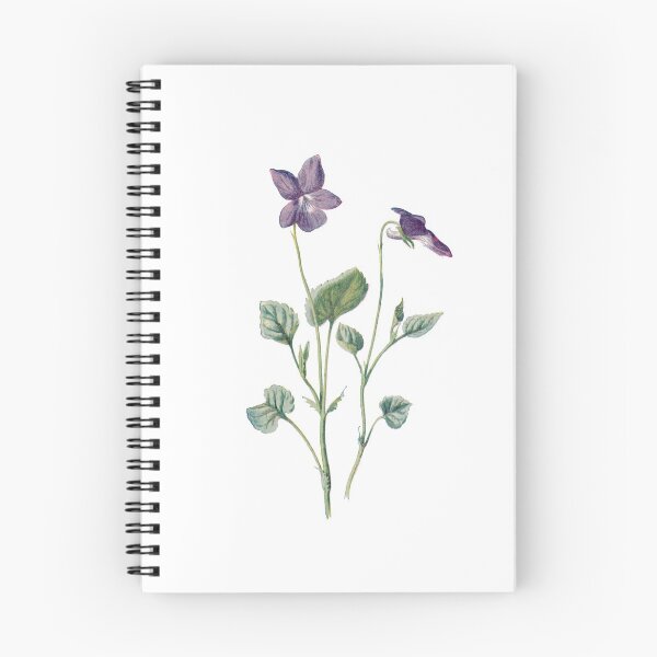 Item preview, Dog Violet Print, Original Flower Print, Botanical Antique, Antique print, Foxglove Wall art, Foxglove Flower, Botanical Prints designed and sold by Studio66Designs.