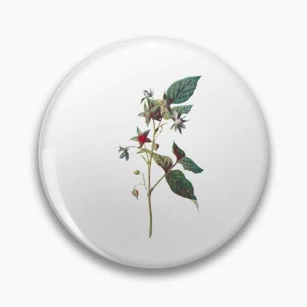 Item preview, Raspberry Print, Original Flower Print, Botanical Antique, Antique print, Foxglove Wall art, Foxglove Flower, Botanical Prints designed and sold by Studio66Designs.