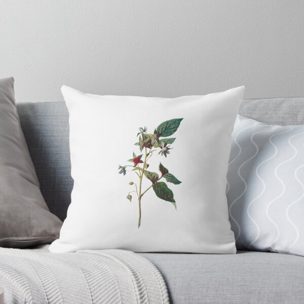 Item preview, Raspberry Print, Original Flower Print, Botanical Antique, Antique print, Foxglove Wall art, Foxglove Flower, Botanical Prints designed and sold by Studio66Designs.