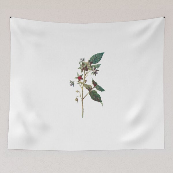 Item preview, Raspberry Print, Original Flower Print, Botanical Antique, Antique print, Foxglove Wall art, Foxglove Flower, Botanical Prints designed and sold by Studio66Designs.