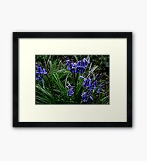 drops Framed Print