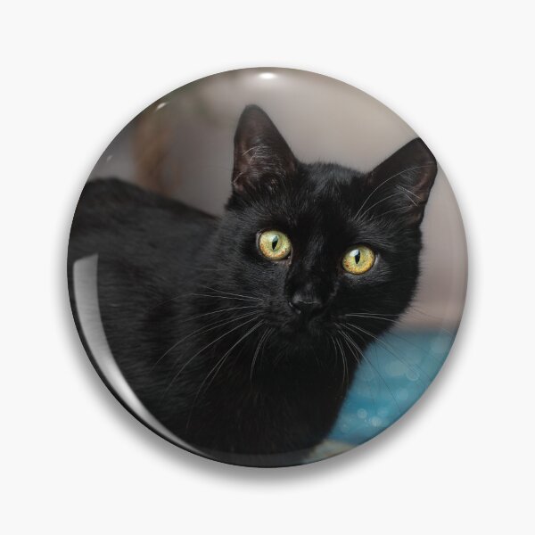 Item preview, Cat chilli on the surfboard designed and sold by Gnocchilli.