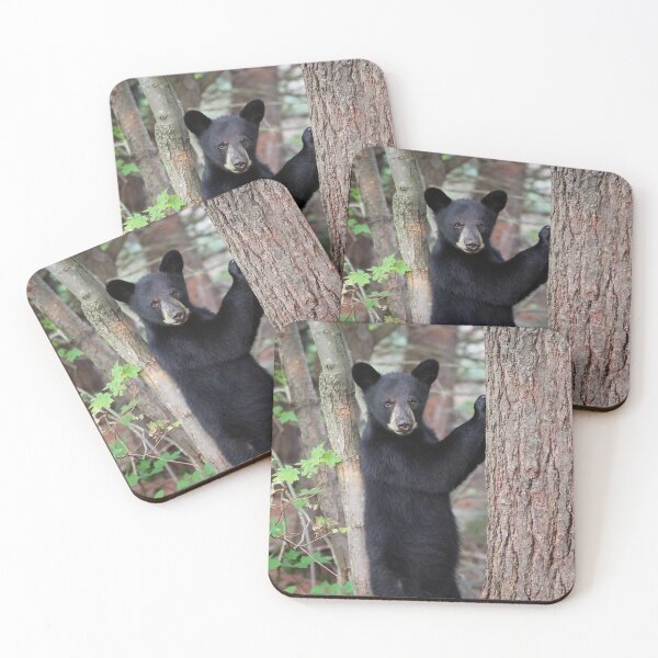 Item preview, Black Bear Cub designed and sold by mlorenz.