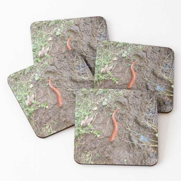 Item preview, Orange Salamander designed and sold by dfhandy.