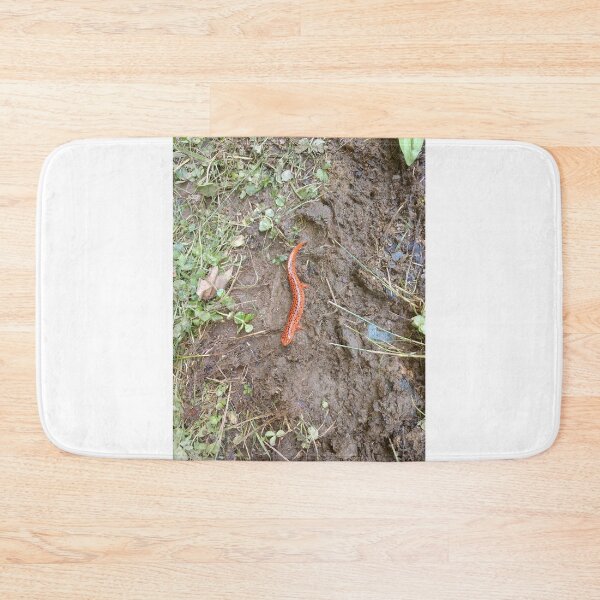Item preview, Orange Salamander designed and sold by dfhandy.