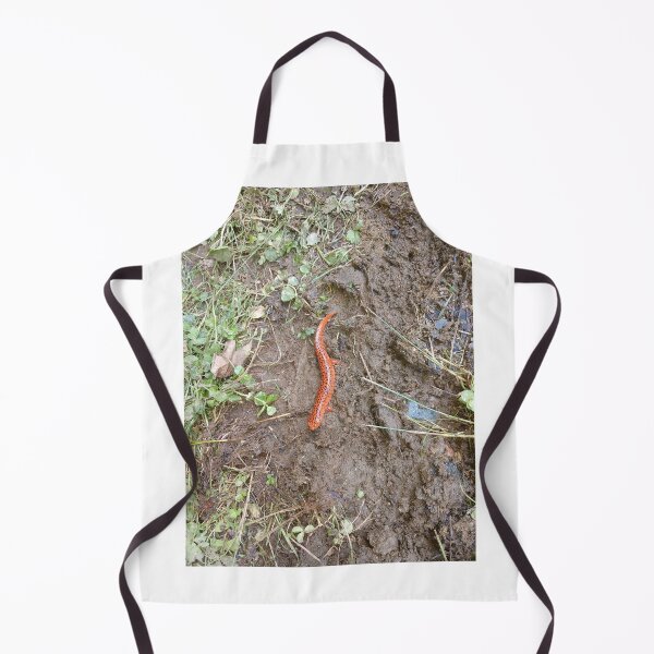 Item preview, Orange Salamander designed and sold by dfhandy.