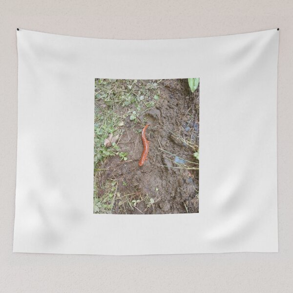 Item preview, Orange Salamander designed and sold by dfhandy.