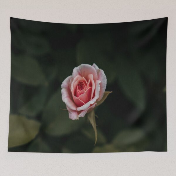 Item preview, Pink Spring Garden Rose designed and sold by JLPhotographer.