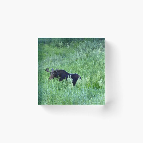 Item preview, Alpine Moose in Summer designed and sold by LeRoyM.