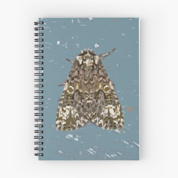 Item preview, Coronet Moth designed and sold by karmardesigns.