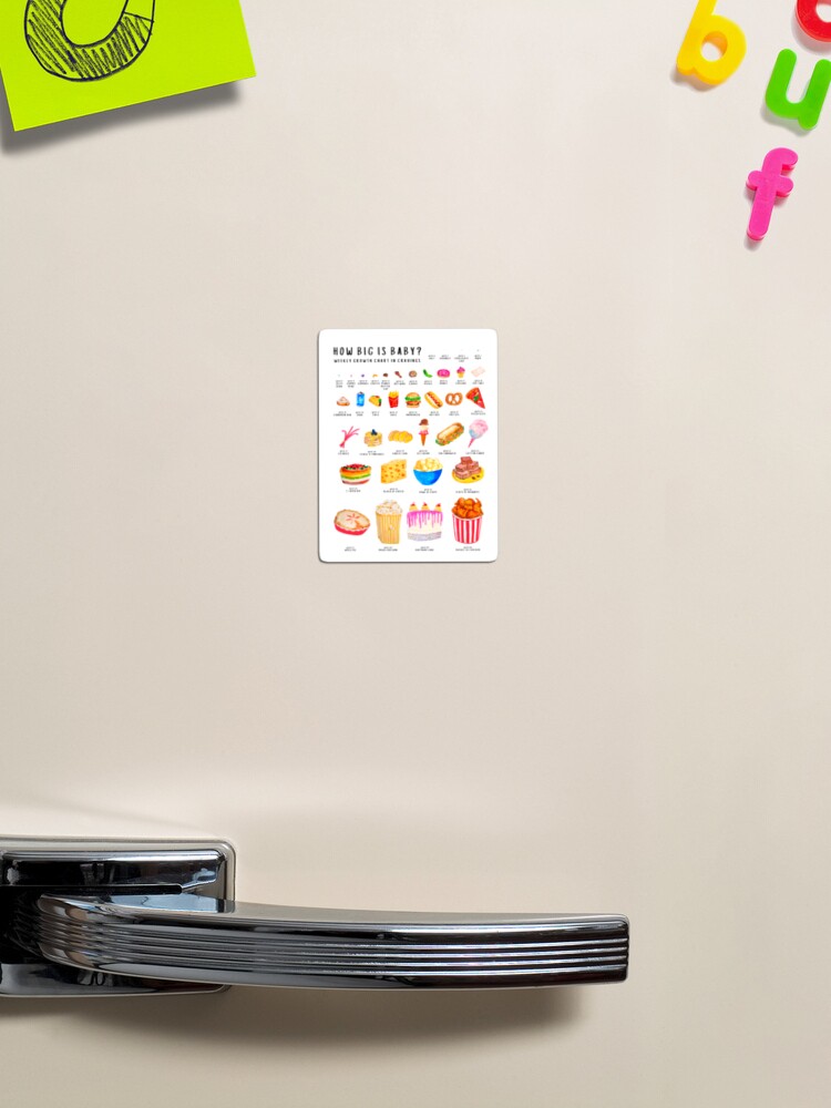 Junk Food Magnets *
