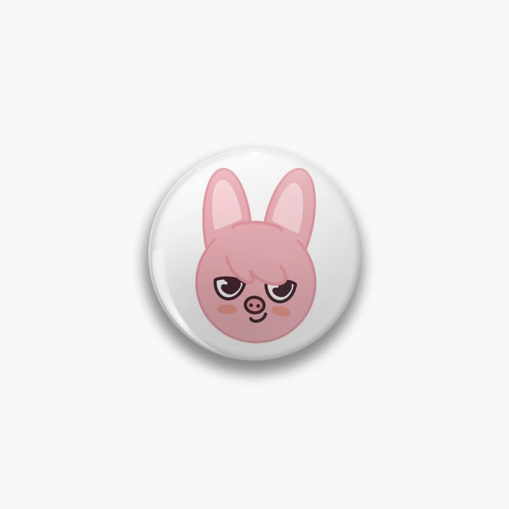Dwaekki Changbin Stray Kids Skzoo