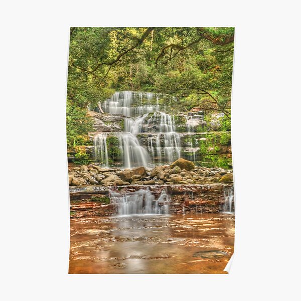 Liffey Falls portrait Poster