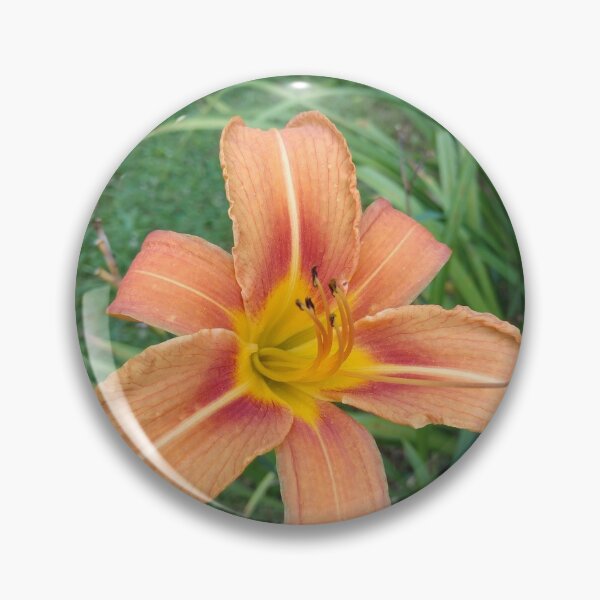 Item preview, Orange Day Lily designed and sold by dfhandy.