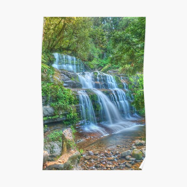 Liffey Falls .. side portrait Poster