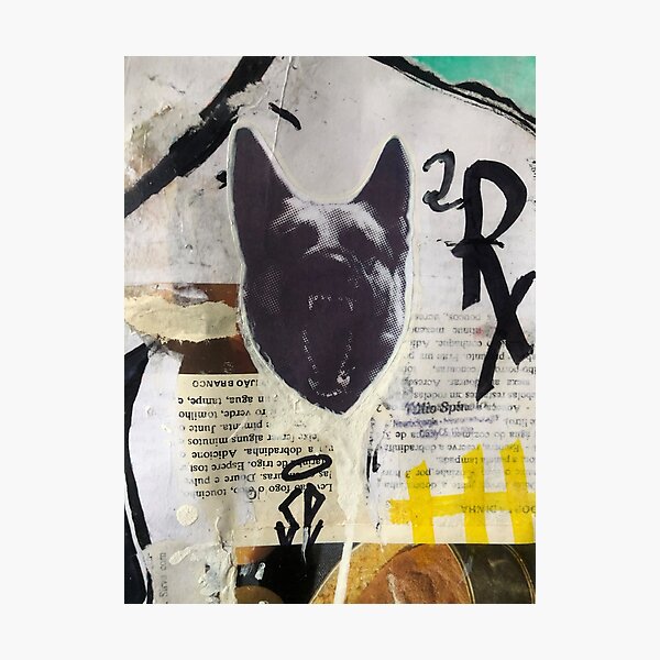 Hauling dog | Graffiti wall | Pop art | Street-art aesthetics Photographic Print