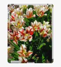 Springtime iPad Case/Skin