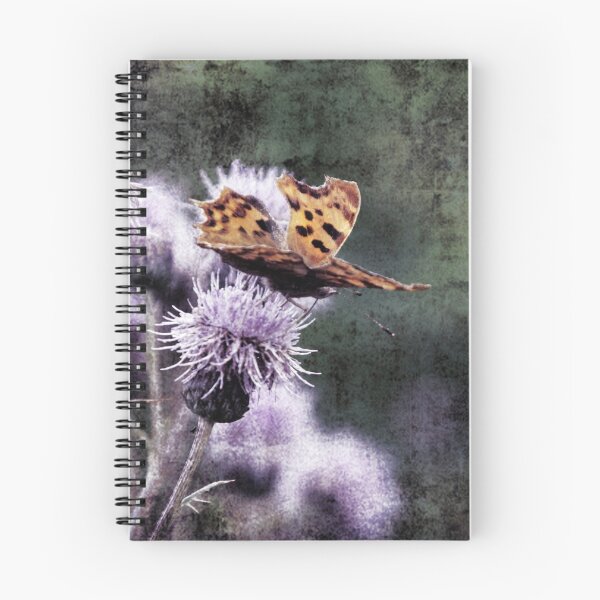 Item preview, Comma butterfly settled on a thistle designed and sold by phutball.