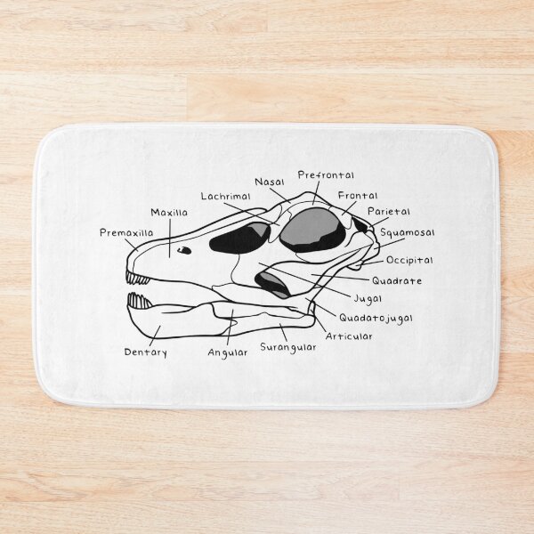 Item preview, Apatosaurus Skull (Labeled) designed and sold by peltigaan.