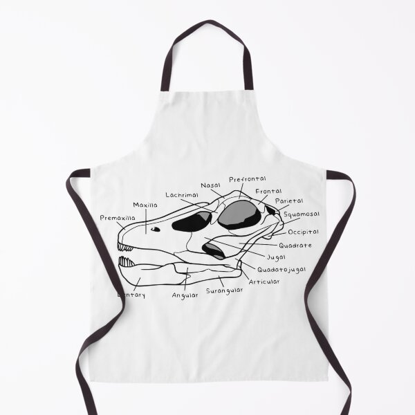 Item preview, Apatosaurus Skull (Labeled) designed and sold by peltigaan.