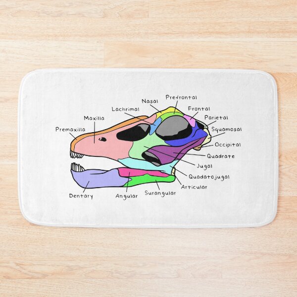 Item preview, Apatosaurus Skull (Colored & Labeled) designed and sold by peltigaan.