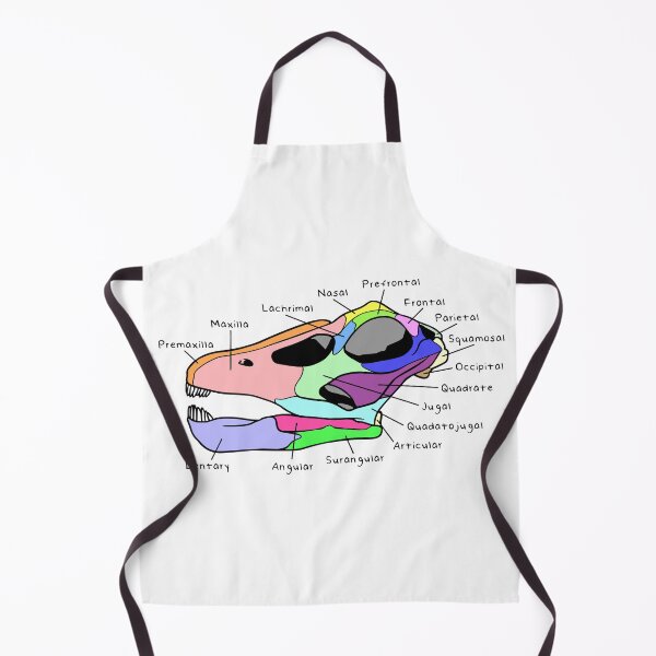 Item preview, Apatosaurus Skull (Colored & Labeled) designed and sold by peltigaan.