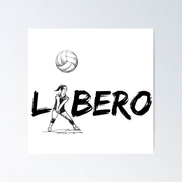 The Libero in Volleyball: A Defensive Specialist
