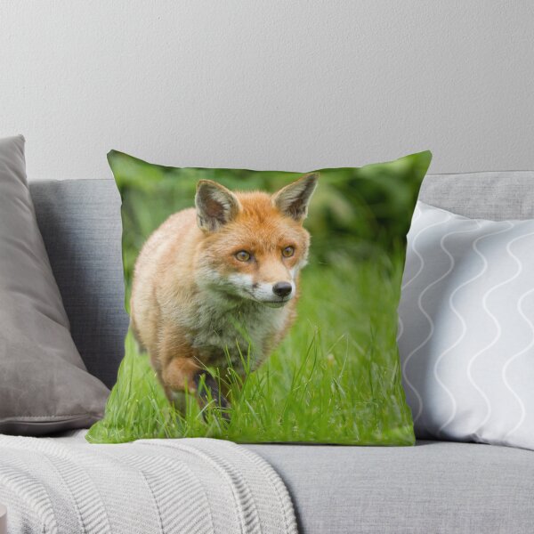 Item preview, Foxing along designed and sold by Anthony Brewer.