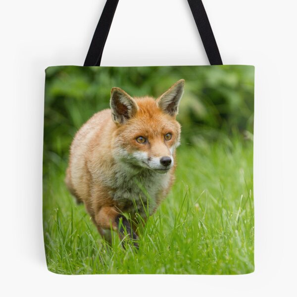 Item preview, Foxing along designed and sold by Anthony Brewer.