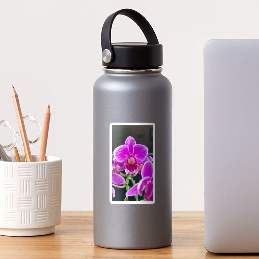 Purple Orchid By Yannis Lobaina Sticker