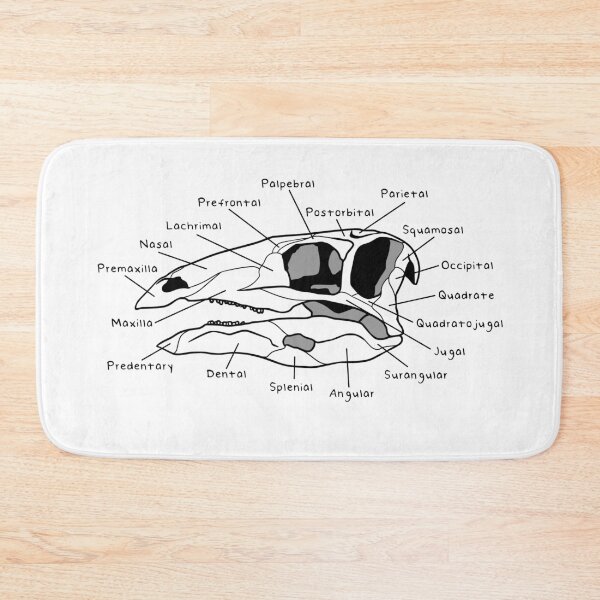 Item preview, Stegosaurus Skull (Labeled) designed and sold by peltigaan.