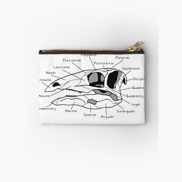 Item preview, Stegosaurus Skull (Labeled) designed and sold by peltigaan.