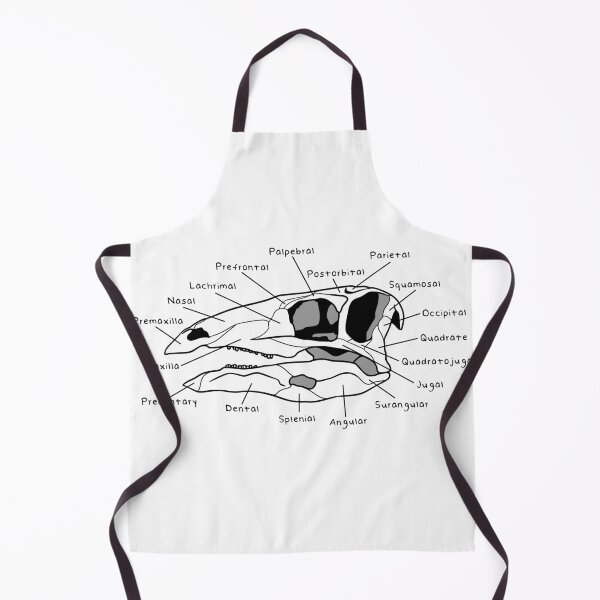 Item preview, Stegosaurus Skull (Labeled) designed and sold by peltigaan.