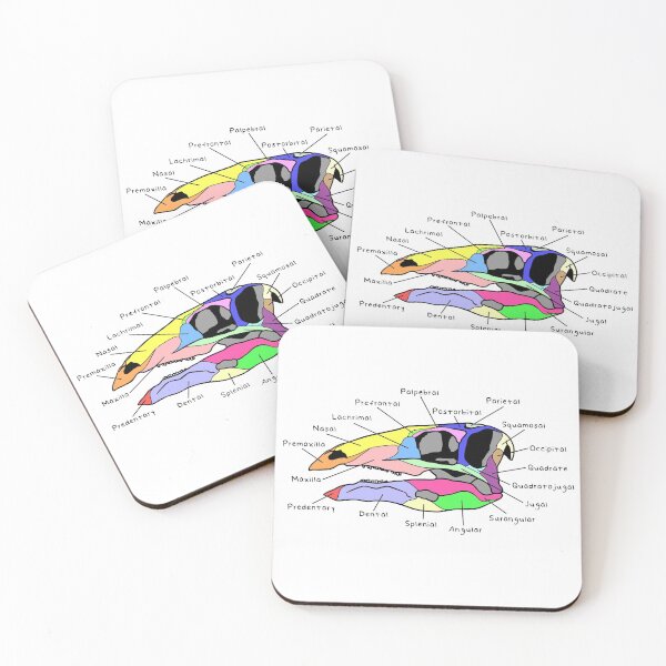 Item preview, Stegosaurus Skull (Colored & Labeled) designed and sold by peltigaan.