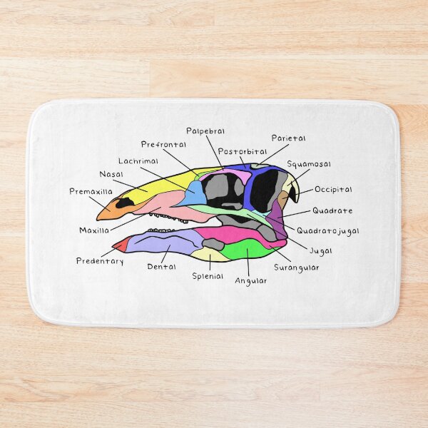 Item preview, Stegosaurus Skull (Colored & Labeled) designed and sold by peltigaan.