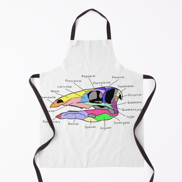 Item preview, Stegosaurus Skull (Colored & Labeled) designed and sold by peltigaan.