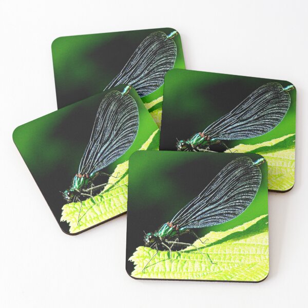 Item preview, Beautiful Demoiselle designed and sold by Barnbk02.