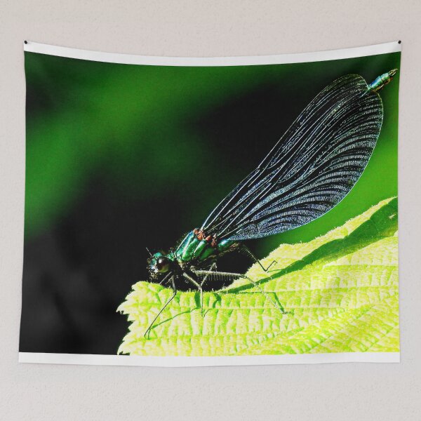 Item preview, Beautiful Demoiselle designed and sold by Barnbk02.