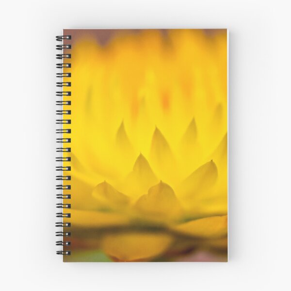 Item preview, Sunny & Bright designed and sold by Lindy Sherwell.